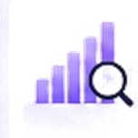Data Analyst