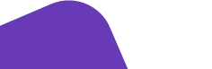 purple background Style